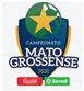 Brazil Mato-grossense Division 1